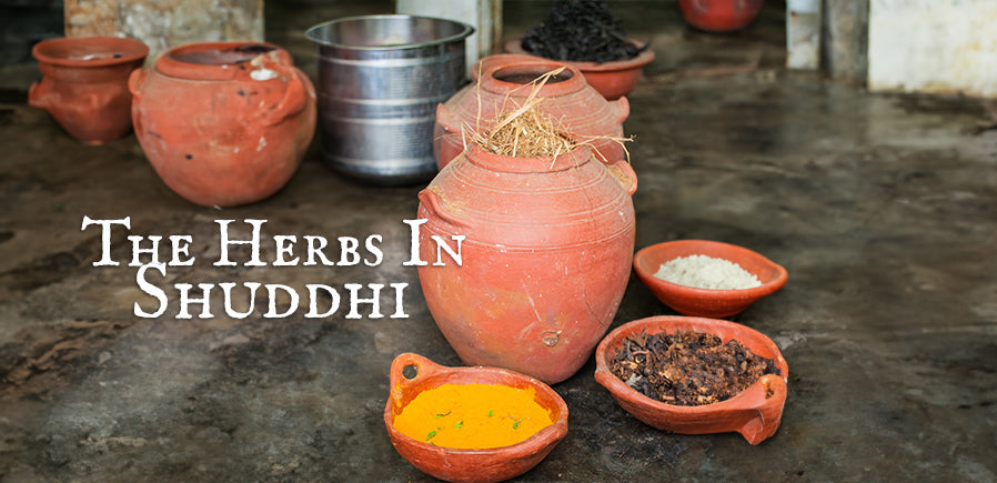 Experience the Magic: Ayurvedic Herbs in Shuddhi Loungewear