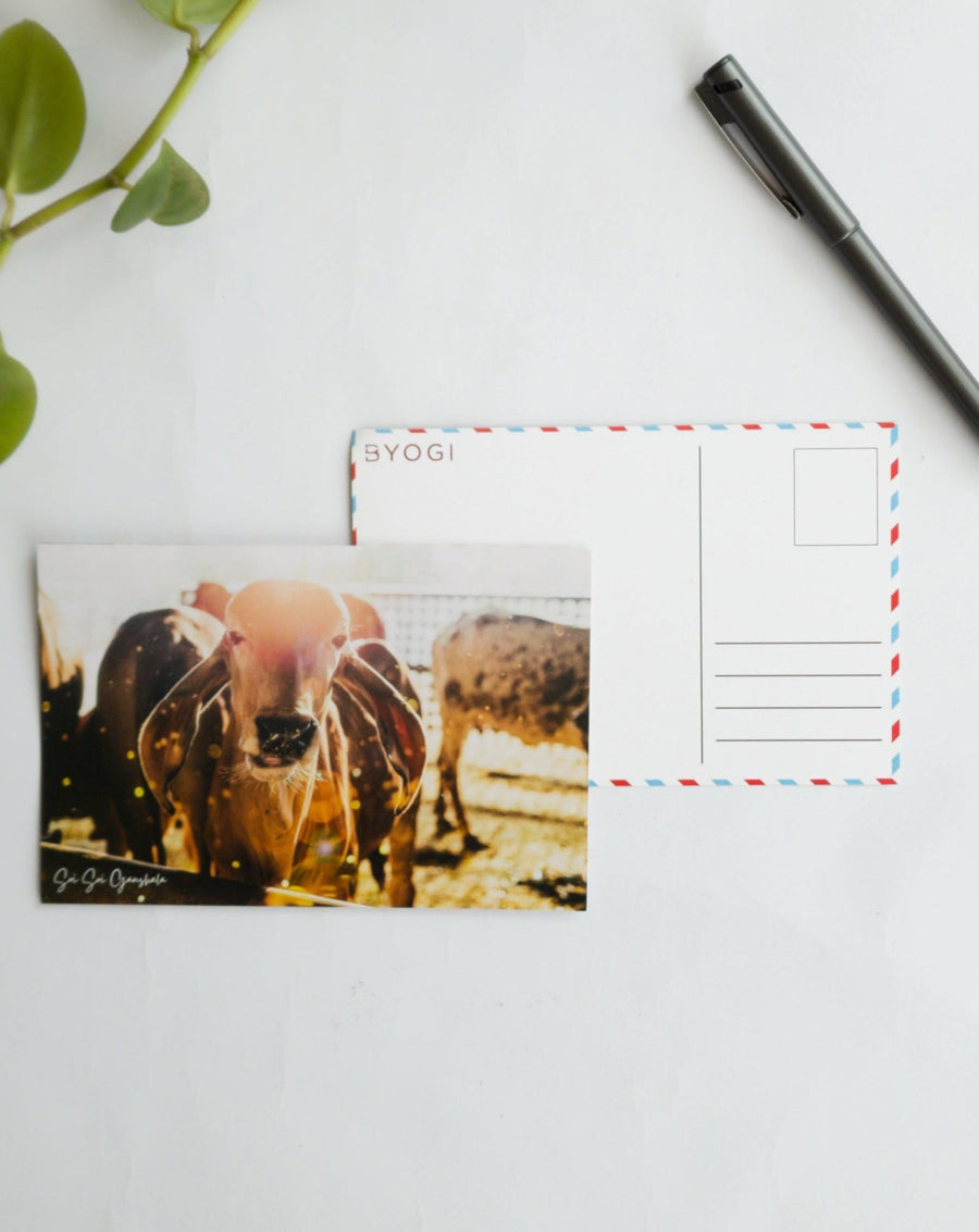 The Gaushala Postcard